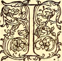 Picture 46 of 837 from Gvlielmi Rondeletii ... Libri de piscibus marinis, in quibus veræ piscium effigies expressæ sunt .. (1554), leaf 91