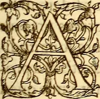 An illustration from Gvlielmi Rondeletii ... Libri de piscibus marinis, in quibus veræ piscium effigies expressæ sunt .. (1554)