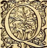 Picture 49 of 837 from Gvlielmi Rondeletii ... Libri de piscibus marinis, in quibus veræ piscium effigies expressæ sunt .. (1554), leaf 94