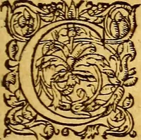 An illustration from Gvlielmi Rondeletii ... Libri de piscibus marinis, in quibus veræ piscium effigies expressæ sunt .. (1554)