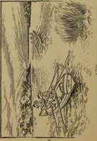 An illustration from Gymnastic stories and plays for primary schools; physical excercises for the first two years of school (1898)