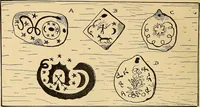 Picture 36 of 40 from Gypsy sorcery and fortune telling, illustrated by numerous incantations, specimens of medical magic, anecdotes, and tales (1891), leaf 248