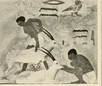 An illustration from Égypte (1912)