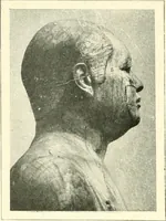 Picture 140 of 537 from Égypte (1911), leaf 102