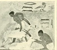 Picture 181 of 537 from Égypte (1911), leaf 126