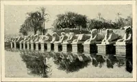 Picture 230 of 537 from Égypte (1911), leaf 153