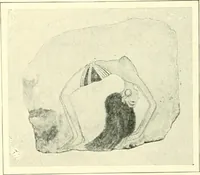 Picture 268 of 537 from Égypte (1911), leaf 172