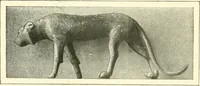 Picture 358 of 537 from Égypte (1911), leaf 220