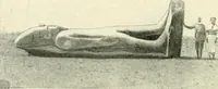 Picture 461 of 537 from Égypte (1911), leaf 278