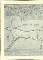 An illustration from Égypte (1911)