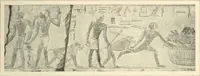 An illustration from Égypte (1911)