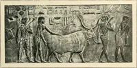 Picture 105 of 537 from Égypte (1911), leaf 83