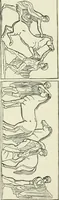 An illustration from An outline history of sculpture for beginners and students, with complete indexes and numerous illustrations (1893)