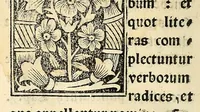 An illustration from Habes hoc in libro ca[n]dide lector Hebraicas institutiones. : in quib[us] quicquid est gra[m]matices hebraicæ facultatis edocetur ad amussim, de literis, punctis, acce[n]tibus, nomine, [et] nominum speciebus, de pronominibus, [et] eoru[mque] cu[m] nominibus, [et] verbis coniu[n]ctione, de verbo [et] verboru[m] co[n]iugationibus, [et] distinctione, in perfecta, quiescentia, defectiua, geminata, de partibus indeclinabilibus, præpositionibus, co[n]iu[n]ctio[n]ibus, aduerbijs, de regulis expone[n]di arcanas literas [et] de figuris, vt paucissima sint desidera[n]da, quas nuper ædidit reuere[n]dus sacræ theolo. do. Sanctes Pagninus .. (1526)