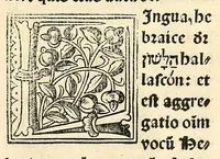 Picture 5 of 78 from Habes hoc in libro ca[n]dide lector Hebraicas institutiones. : in quib[us] quicquid est gra[m]matices hebraicæ facultatis edocetur ad amussim, de literis, punctis, acce[n]tibus, nomine, [et] nominum speciebus, de pronominibus, [et] eoru[mque] cu[m] nominibus, [et] verbis coniu[n]ctione, de verbo [et] verboru[m] co[n]iugationibus, [et] distinctione, in perfecta, quiescentia, defectiua, geminata, de partibus indeclinabilibus, præpositionibus, co[n]iu[n]ctio[n]ibus, aduerbijs, de regulis expone[n]di arcanas literas [et] de figuris, vt paucissima sint desidera[n]da, quas nuper ædidit reuere[n]dus sacræ theolo. do. Sanctes Pagninus .. (1526), leaf 21
