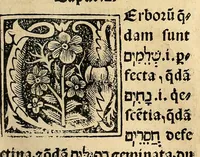 Picture 36 of 78 from Habes hoc in libro ca[n]dide lector Hebraicas institutiones. : in quib[us] quicquid est gra[m]matices hebraicæ facultatis edocetur ad amussim, de literis, punctis, acce[n]tibus, nomine, [et] nominum speciebus, de pronominibus, [et] eoru[mque] cu[m] nominibus, [et] verbis coniu[n]ctione, de verbo [et] verboru[m] co[n]iugationibus, [et] distinctione, in perfecta, quiescentia, defectiua, geminata, de partibus indeclinabilibus, præpositionibus, co[n]iu[n]ctio[n]ibus, aduerbijs, de regulis expone[n]di arcanas literas [et] de figuris, vt paucissima sint desidera[n]da, quas nuper ædidit reuere[n]dus sacræ theolo. do. Sanctes Pagninus .. (1526), leaf 218