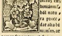 An illustration from Habes hoc in libro ca[n]dide lector Hebraicas institutiones. : in quib[us] quicquid est gra[m]matices hebraicæ facultatis edocetur ad amussim, de literis, punctis, acce[n]tibus, nomine, [et] nominum speciebus, de pronominibus, [et] eoru[mque] cu[m] nominibus, [et] verbis coniu[n]ctione, de verbo [et] verboru[m] co[n]iugationibus, [et] distinctione, in perfecta, quiescentia, defectiua, geminata, de partibus indeclinabilibus, præpositionibus, co[n]iu[n]ctio[n]ibus, aduerbijs, de regulis expone[n]di arcanas literas [et] de figuris, vt paucissima sint desidera[n]da, quas nuper ædidit reuere[n]dus sacræ theolo. do. Sanctes Pagninus .. (1526)