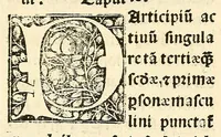 An illustration from Habes hoc in libro ca[n]dide lector Hebraicas institutiones. : in quib[us] quicquid est gra[m]matices hebraicæ facultatis edocetur ad amussim, de literis, punctis, acce[n]tibus, nomine, [et] nominum speciebus, de pronominibus, [et] eoru[mque] cu[m] nominibus, [et] verbis coniu[n]ctione, de verbo [et] verboru[m] co[n]iugationibus, [et] distinctione, in perfecta, quiescentia, defectiua, geminata, de partibus indeclinabilibus, præpositionibus, co[n]iu[n]ctio[n]ibus, aduerbijs, de regulis expone[n]di arcanas literas [et] de figuris, vt paucissima sint desidera[n]da, quas nuper ædidit reuere[n]dus sacræ theolo. do. Sanctes Pagninus .. (1526)
