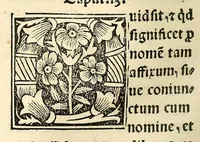 An illustration from Habes hoc in libro ca[n]dide lector Hebraicas institutiones. : in quib[us] quicquid est gra[m]matices hebraicæ facultatis edocetur ad amussim, de literis, punctis, acce[n]tibus, nomine, [et] nominum speciebus, de pronominibus, [et] eoru[mque] cu[m] nominibus, [et] verbis coniu[n]ctione, de verbo [et] verboru[m] co[n]iugationibus, [et] distinctione, in perfecta, quiescentia, defectiua, geminata, de partibus indeclinabilibus, præpositionibus, co[n]iu[n]ctio[n]ibus, aduerbijs, de regulis expone[n]di arcanas literas [et] de figuris, vt paucissima sint desidera[n]da, quas nuper ædidit reuere[n]dus sacræ theolo. do. Sanctes Pagninus .. (1526)