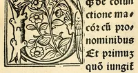 Picture 43 of 78 from Habes hoc in libro ca[n]dide lector Hebraicas institutiones. : in quib[us] quicquid est gra[m]matices hebraicæ facultatis edocetur ad amussim, de literis, punctis, acce[n]tibus, nomine, [et] nominum speciebus, de pronominibus, [et] eoru[mque] cu[m] nominibus, [et] verbis coniu[n]ctione, de verbo [et] verboru[m] co[n]iugationibus, [et] distinctione, in perfecta, quiescentia, defectiua, geminata, de partibus indeclinabilibus, præpositionibus, co[n]iu[n]ctio[n]ibus, aduerbijs, de regulis expone[n]di arcanas literas [et] de figuris, vt paucissima sint desidera[n]da, quas nuper ædidit reuere[n]dus sacræ theolo. do. Sanctes Pagninus .. (1526), leaf 277