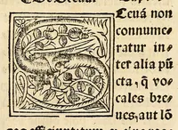 Picture 8 of 78 from Habes hoc in libro ca[n]dide lector Hebraicas institutiones. : in quib[us] quicquid est gra[m]matices hebraicæ facultatis edocetur ad amussim, de literis, punctis, acce[n]tibus, nomine, [et] nominum speciebus, de pronominibus, [et] eoru[mque] cu[m] nominibus, [et] verbis coniu[n]ctione, de verbo [et] verboru[m] co[n]iugationibus, [et] distinctione, in perfecta, quiescentia, defectiua, geminata, de partibus indeclinabilibus, præpositionibus, co[n]iu[n]ctio[n]ibus, aduerbijs, de regulis expone[n]di arcanas literas [et] de figuris, vt paucissima sint desidera[n]da, quas nuper ædidit reuere[n]dus sacræ theolo. do. Sanctes Pagninus .. (1526), leaf 30