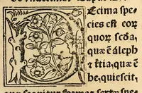 An illustration from Habes hoc in libro ca[n]dide lector Hebraicas institutiones. : in quib[us] quicquid est gra[m]matices hebraicæ facultatis edocetur ad amussim, de literis, punctis, acce[n]tibus, nomine, [et] nominum speciebus, de pronominibus, [et] eoru[mque] cu[m] nominibus, [et] verbis coniu[n]ctione, de verbo [et] verboru[m] co[n]iugationibus, [et] distinctione, in perfecta, quiescentia, defectiua, geminata, de partibus indeclinabilibus, præpositionibus, co[n]iu[n]ctio[n]ibus, aduerbijs, de regulis expone[n]di arcanas literas [et] de figuris, vt paucissima sint desidera[n]da, quas nuper ædidit reuere[n]dus sacræ theolo. do. Sanctes Pagninus .. (1526)