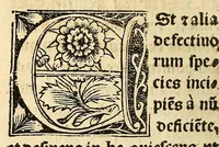 An illustration from Habes hoc in libro ca[n]dide lector Hebraicas institutiones. : in quib[us] quicquid est gra[m]matices hebraicæ facultatis edocetur ad amussim, de literis, punctis, acce[n]tibus, nomine, [et] nominum speciebus, de pronominibus, [et] eoru[mque] cu[m] nominibus, [et] verbis coniu[n]ctione, de verbo [et] verboru[m] co[n]iugationibus, [et] distinctione, in perfecta, quiescentia, defectiua, geminata, de partibus indeclinabilibus, præpositionibus, co[n]iu[n]ctio[n]ibus, aduerbijs, de regulis expone[n]di arcanas literas [et] de figuris, vt paucissima sint desidera[n]da, quas nuper ædidit reuere[n]dus sacræ theolo. do. Sanctes Pagninus .. (1526)