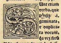 An illustration from Habes hoc in libro ca[n]dide lector Hebraicas institutiones. : in quib[us] quicquid est gra[m]matices hebraicæ facultatis edocetur ad amussim, de literis, punctis, acce[n]tibus, nomine, [et] nominum speciebus, de pronominibus, [et] eoru[mque] cu[m] nominibus, [et] verbis coniu[n]ctione, de verbo [et] verboru[m] co[n]iugationibus, [et] distinctione, in perfecta, quiescentia, defectiua, geminata, de partibus indeclinabilibus, præpositionibus, co[n]iu[n]ctio[n]ibus, aduerbijs, de regulis expone[n]di arcanas literas [et] de figuris, vt paucissima sint desidera[n]da, quas nuper ædidit reuere[n]dus sacræ theolo. do. Sanctes Pagninus .. (1526)