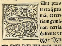 Picture 53 of 78 from Habes hoc in libro ca[n]dide lector Hebraicas institutiones. : in quib[us] quicquid est gra[m]matices hebraicæ facultatis edocetur ad amussim, de literis, punctis, acce[n]tibus, nomine, [et] nominum speciebus, de pronominibus, [et] eoru[mque] cu[m] nominibus, [et] verbis coniu[n]ctione, de verbo [et] verboru[m] co[n]iugationibus, [et] distinctione, in perfecta, quiescentia, defectiua, geminata, de partibus indeclinabilibus, præpositionibus, co[n]iu[n]ctio[n]ibus, aduerbijs, de regulis expone[n]di arcanas literas [et] de figuris, vt paucissima sint desidera[n]da, quas nuper ædidit reuere[n]dus sacræ theolo. do. Sanctes Pagninus .. (1526), leaf 321