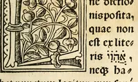 Picture 9 of 78 from Habes hoc in libro ca[n]dide lector Hebraicas institutiones. : in quib[us] quicquid est gra[m]matices hebraicæ facultatis edocetur ad amussim, de literis, punctis, acce[n]tibus, nomine, [et] nominum speciebus, de pronominibus, [et] eoru[mque] cu[m] nominibus, [et] verbis coniu[n]ctione, de verbo [et] verboru[m] co[n]iugationibus, [et] distinctione, in perfecta, quiescentia, defectiua, geminata, de partibus indeclinabilibus, præpositionibus, co[n]iu[n]ctio[n]ibus, aduerbijs, de regulis expone[n]di arcanas literas [et] de figuris, vt paucissima sint desidera[n]da, quas nuper ædidit reuere[n]dus sacræ theolo. do. Sanctes Pagninus .. (1526), leaf 34