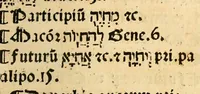 An illustration from Habes hoc in libro ca[n]dide lector Hebraicas institutiones. : in quib[us] quicquid est gra[m]matices hebraicæ facultatis edocetur ad amussim, de literis, punctis, acce[n]tibus, nomine, [et] nominum speciebus, de pronominibus, [et] eoru[mque] cu[m] nominibus, [et] verbis coniu[n]ctione, de verbo [et] verboru[m] co[n]iugationibus, [et] distinctione, in perfecta, quiescentia, defectiua, geminata, de partibus indeclinabilibus, præpositionibus, co[n]iu[n]ctio[n]ibus, aduerbijs, de regulis expone[n]di arcanas literas [et] de figuris, vt paucissima sint desidera[n]da, quas nuper ædidit reuere[n]dus sacræ theolo. do. Sanctes Pagninus .. (1526)