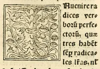 An illustration from Habes hoc in libro ca[n]dide lector Hebraicas institutiones. : in quib[us] quicquid est gra[m]matices hebraicæ facultatis edocetur ad amussim, de literis, punctis, acce[n]tibus, nomine, [et] nominum speciebus, de pronominibus, [et] eoru[mque] cu[m] nominibus, [et] verbis coniu[n]ctione, de verbo [et] verboru[m] co[n]iugationibus, [et] distinctione, in perfecta, quiescentia, defectiua, geminata, de partibus indeclinabilibus, præpositionibus, co[n]iu[n]ctio[n]ibus, aduerbijs, de regulis expone[n]di arcanas literas [et] de figuris, vt paucissima sint desidera[n]da, quas nuper ædidit reuere[n]dus sacræ theolo. do. Sanctes Pagninus .. (1526)