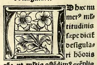 Picture 77 of 78 from Habes hoc in libro ca[n]dide lector Hebraicas institutiones. : in quib[us] quicquid est gra[m]matices hebraicæ facultatis edocetur ad amussim, de literis, punctis, acce[n]tibus, nomine, [et] nominum speciebus, de pronominibus, [et] eoru[mque] cu[m] nominibus, [et] verbis coniu[n]ctione, de verbo [et] verboru[m] co[n]iugationibus, [et] distinctione, in perfecta, quiescentia, defectiua, geminata, de partibus indeclinabilibus, præpositionibus, co[n]iu[n]ctio[n]ibus, aduerbijs, de regulis expone[n]di arcanas literas [et] de figuris, vt paucissima sint desidera[n]da, quas nuper ædidit reuere[n]dus sacræ theolo. do. Sanctes Pagninus .. (1526), leaf 419