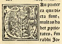 An illustration from Habes hoc in libro ca[n]dide lector Hebraicas institutiones. : in quib[us] quicquid est gra[m]matices hebraicæ facultatis edocetur ad amussim, de literis, punctis, acce[n]tibus, nomine, [et] nominum speciebus, de pronominibus, [et] eoru[mque] cu[m] nominibus, [et] verbis coniu[n]ctione, de verbo [et] verboru[m] co[n]iugationibus, [et] distinctione, in perfecta, quiescentia, defectiua, geminata, de partibus indeclinabilibus, præpositionibus, co[n]iu[n]ctio[n]ibus, aduerbijs, de regulis expone[n]di arcanas literas [et] de figuris, vt paucissima sint desidera[n]da, quas nuper ædidit reuere[n]dus sacræ theolo. do. Sanctes Pagninus .. (1526)