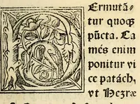 An illustration from Habes hoc in libro ca[n]dide lector Hebraicas institutiones. : in quib[us] quicquid est gra[m]matices hebraicæ facultatis edocetur ad amussim, de literis, punctis, acce[n]tibus, nomine, [et] nominum speciebus, de pronominibus, [et] eoru[mque] cu[m] nominibus, [et] verbis coniu[n]ctione, de verbo [et] verboru[m] co[n]iugationibus, [et] distinctione, in perfecta, quiescentia, defectiua, geminata, de partibus indeclinabilibus, præpositionibus, co[n]iu[n]ctio[n]ibus, aduerbijs, de regulis expone[n]di arcanas literas [et] de figuris, vt paucissima sint desidera[n]da, quas nuper ædidit reuere[n]dus sacræ theolo. do. Sanctes Pagninus .. (1526)