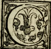 An illustration from Habiti antichi; (1664)