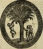 An illustration from Habiti antichi; (1664)