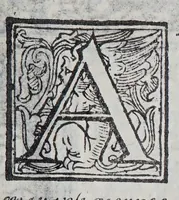 An illustration from Habiti antichi, et moderni di tutto il mondo. (1598)