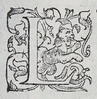 An illustration from Habiti antichi, et moderni di tutto il mondo. (1598)