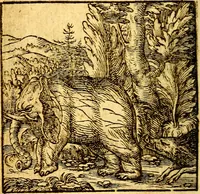 Picture 4 of 60 from Hadriani Iunii Emblemata : eiusdem Aenigmatum libellus (1596), leaf 11