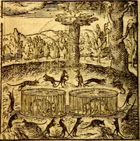 An illustration from Hadriani Iunii Emblemata : eiusdem Aenigmatum libellus (1596)