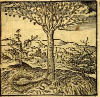An illustration from Hadriani Iunii Emblemata : eiusdem Aenigmatum libellus (1596)