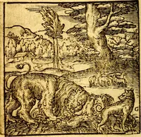 Picture 12 of 60 from Hadriani Iunii Emblemata : eiusdem Aenigmatum libellus (1596), leaf 19