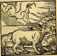 An illustration from Hadriani Iunii Emblemata : eiusdem Aenigmatum libellus (1596)