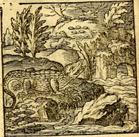 Picture 21 of 60 from Hadriani Iunii Emblemata : eiusdem Aenigmatum libellus (1596), leaf 28