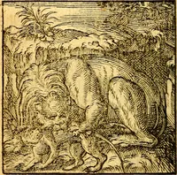 An illustration from Hadriani Iunii Emblemata : eiusdem Aenigmatum libellus (1596)