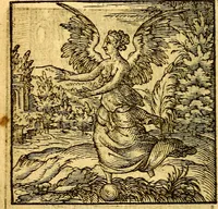 An illustration from Hadriani Iunii Emblemata : eiusdem Aenigmatum libellus (1596)