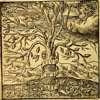 Picture 30 of 60 from Hadriani Iunii Emblemata : eiusdem Aenigmatum libellus (1596), leaf 37