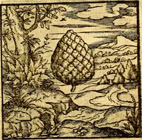 Picture 39 of 60 from Hadriani Iunii Emblemata : eiusdem Aenigmatum libellus (1596), leaf 46
