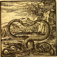 Picture 40 of 60 from Hadriani Iunii Emblemata : eiusdem Aenigmatum libellus (1596), leaf 47